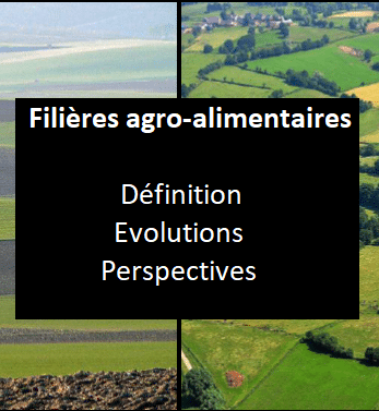 Filières agro-alimentaires et territoires : comprendre les interactions